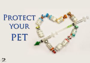 protect-your-pet